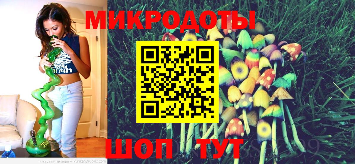 Галлюциногенные грибы Psilocybe Саянск