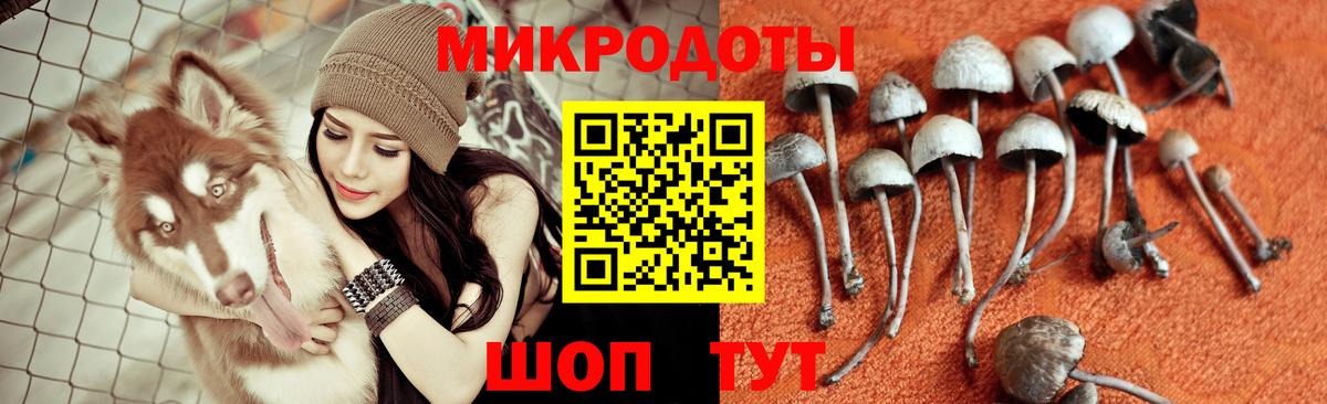 Галлюциногенные грибы Cubensis  Галлюциногенные грибы Magic Shrooms  Вход с VPN  Саянск 